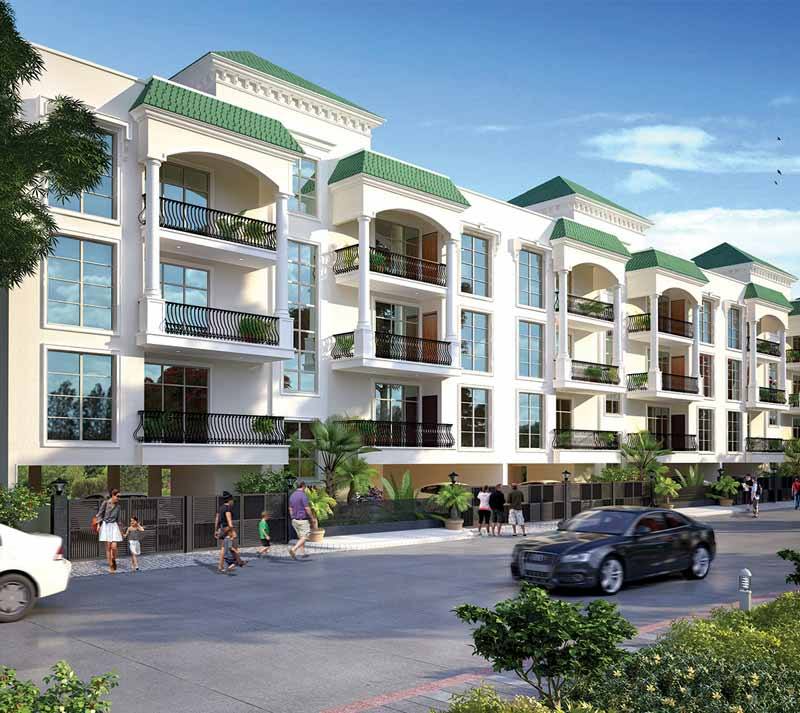 Celestia Gold, Grande & Royale